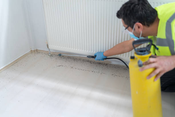 Best Mosquito Control Services  in Stafford, TX